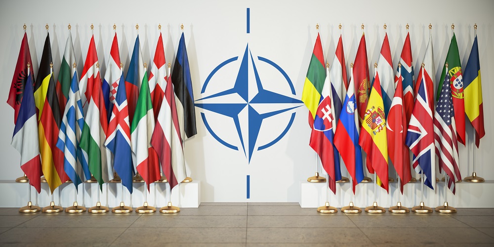 U.S. DIPLOMATIC SALES